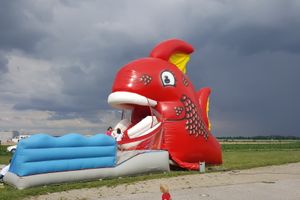 Riesenfisch - Red Snapper